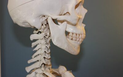 Klinische Bedeutung der Innervation des Kiefergelenks